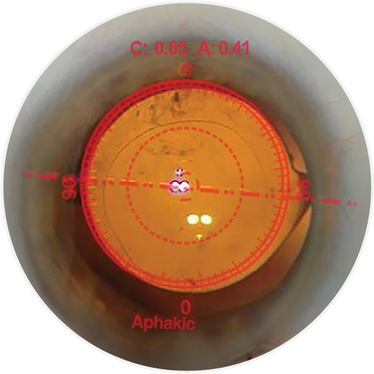 Precise Toric