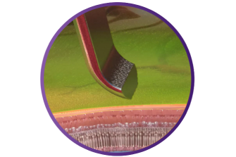 Close up of the SHARKSKIN ILM forceps touching ILM tissue.